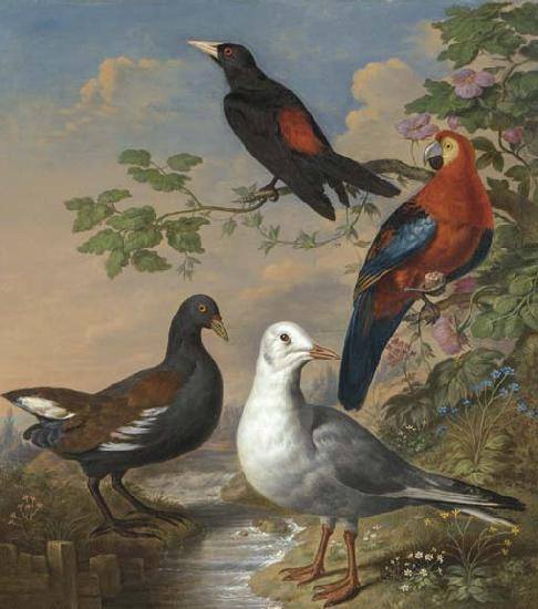 Philip Reinagle A Moorhen, A Gull, A Scarlet Macaw and Red-Rumped A Cacique By a Stream in a Landscape oil painting picture